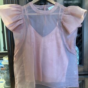 Sheer Pink Puff Sleeve Blouse